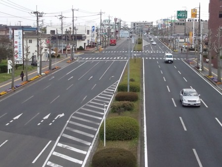 kinshi001
