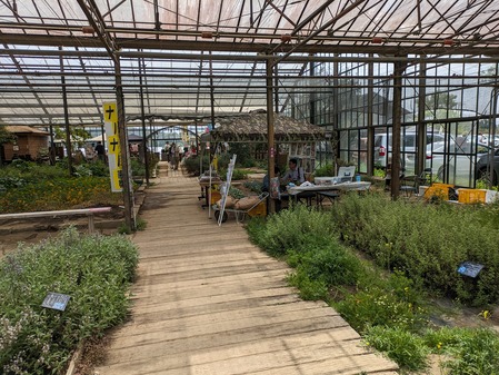 PXL_20240429_013516091.MP