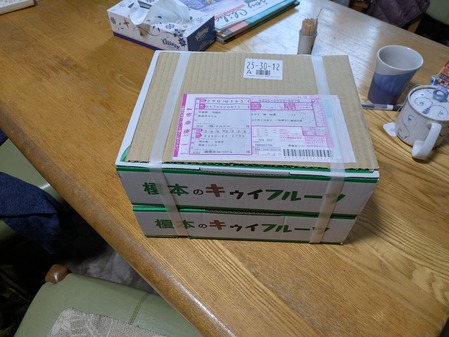 PXL_20241219_064315982