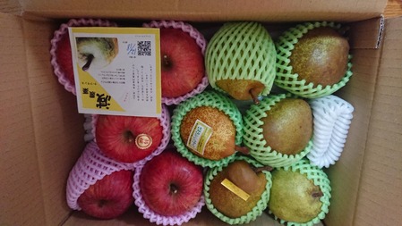 DSCPDC_0003_BURST20201213115604205_COVER