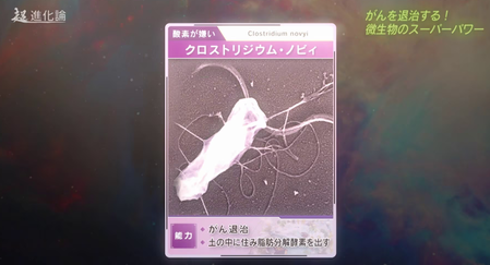 �����꡼�󥷥�å� (401)