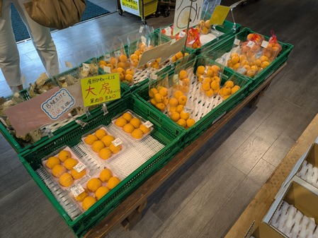 PXL_20250612_060410735