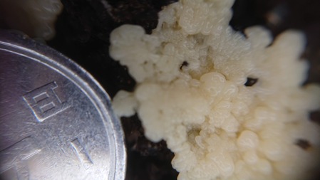 DSCPDC_0003_BURST20190430170003828_COVER