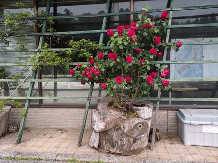 PXL_20240518_231319662