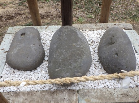 20180131_���м̿�