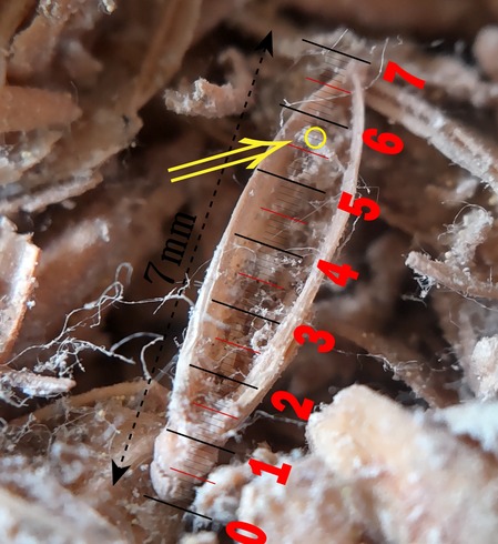 Ç´¶Ý¤«¤â¤Î¤ªÂ礤µ