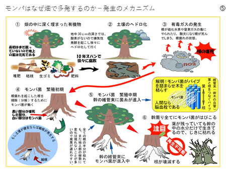 �����꡼�󥷥�å� 2025-03-11 180055