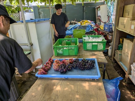 PXL_20240824_011519076.MP