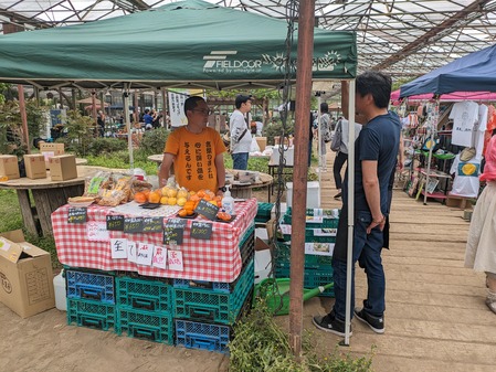 PXL_20240429_045041476.MP