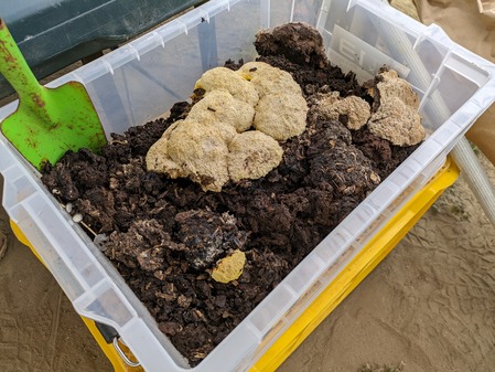 PXL_20240429_013444177