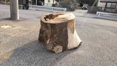 HORIZON_0001_BURST20220307152521195_COVER