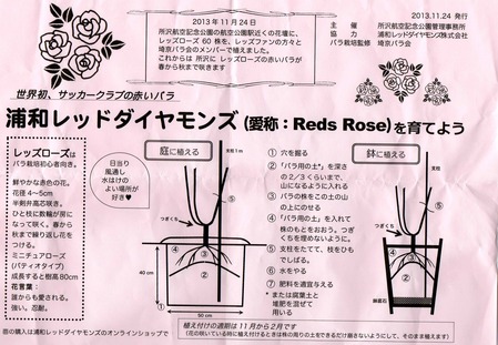 ���¥�åɥ������󥺥��饷