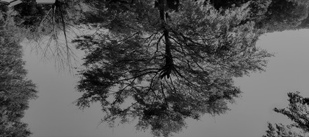 ¼ùÌÚΩ¤ÁÌÚ¤â¤ß¤¸µÕ¤µ2 (2)