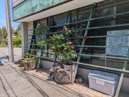 PXL_20240511_020023564