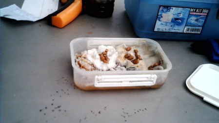 WIN_20250102_15_01_03_Pro