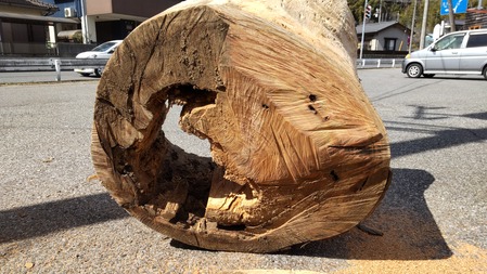 HORIZON_0001_BURST20220307113800423_COVER