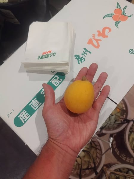 504997078_6106582071754409826_n