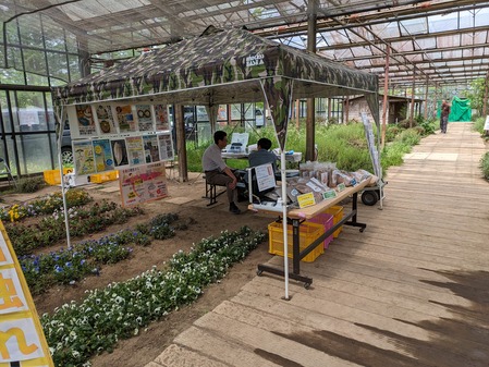 PXL_20240429_013426431