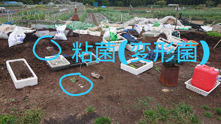 sketch-1556841369221