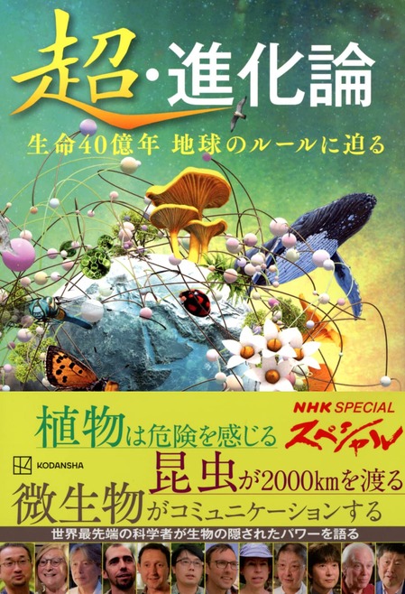 71gRqEKDdXL._SL1466_