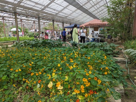 PXL_20240429_055938966