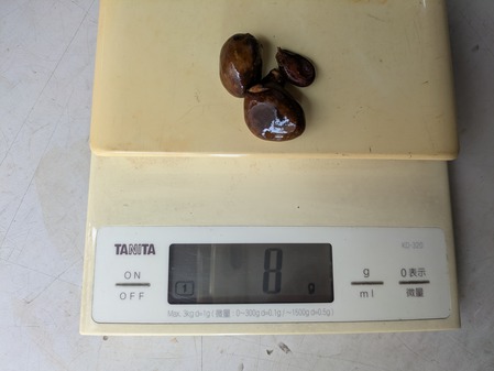 PXL_20250614_011155777