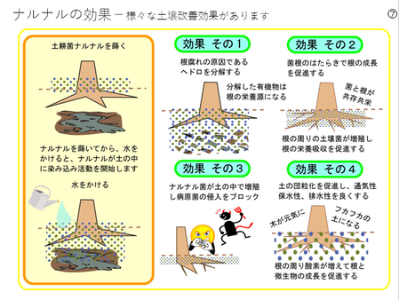 �����꡼�󥷥�å� 2025-03-11 181432