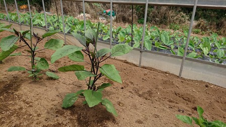 DSCPDC_0003_BURST20190614124629884_COVER