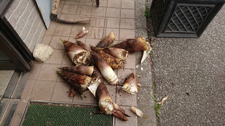 DSCPDC_0000_BURST20180406140003914