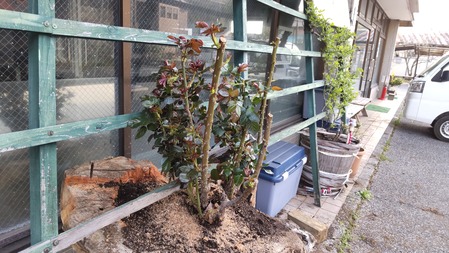 HORIZON_0001_BURST20220407072304610_COVER