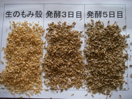 kinshi001+3