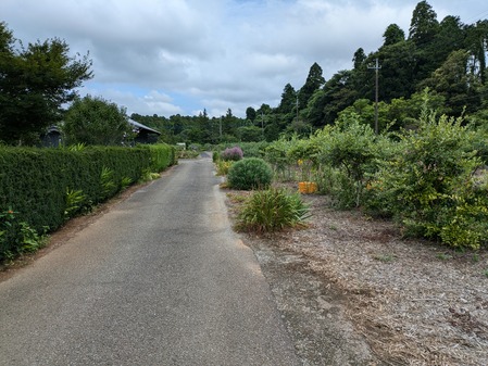 PXL_20240714_051336389