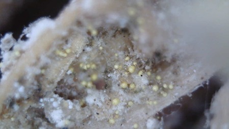 WIN_20210626_13_29_01_Pro