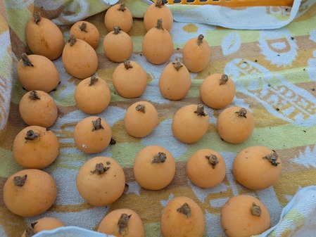 PXL_20250612_043202379