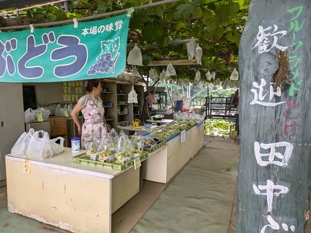 PXL_20240813_011900127.MP