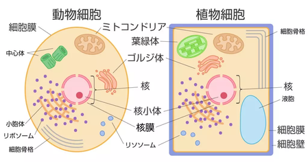 5f19f8038b959