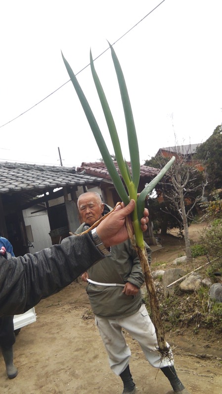 HORIZON_0001_BURST20220331122929757_COVER