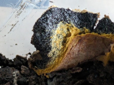 PXL_20240501_080508564