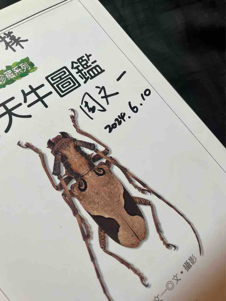 台湾鍬形虫自然観察図鑑4 台湾鍬形虫自然観察図鑑4 台湾の書籍