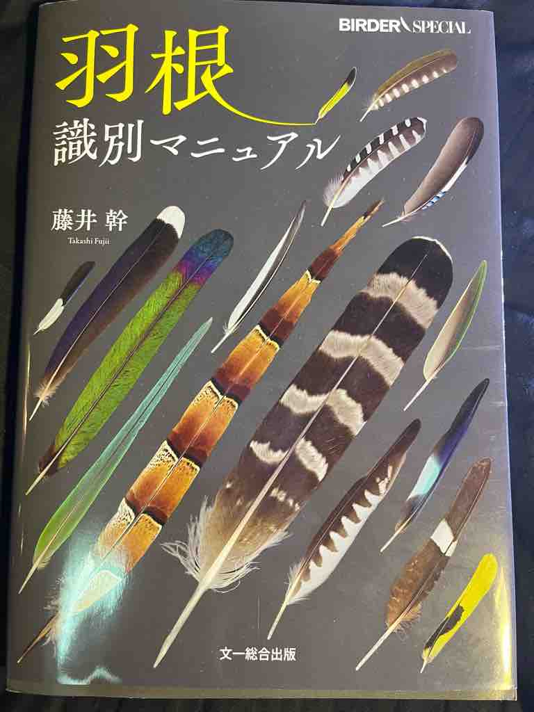 羽根識別マニュアル』 : ばいおの採集日記