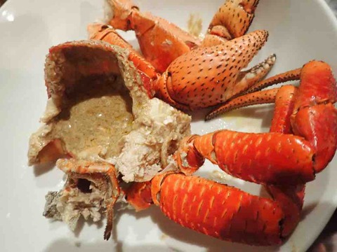 ヤシガニ捕まえて食べてみた : ばいおの採集日記
