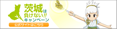 ibamake_banner