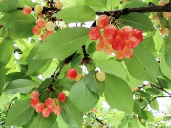 IMG_20210519_153350_copy_939x704