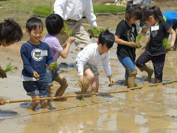 アグリパーク竜王2011年田植え (9)