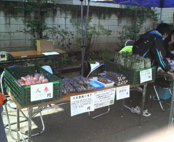 mamannkaichiba4ueharanoeunn