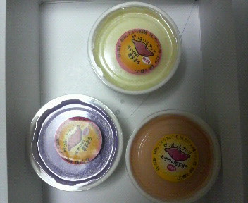 nouennbiginnimopurinn1