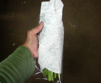 kukiburokkori-irekara3