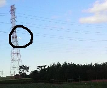 koukuusho-innparuzu11