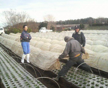 hisamtusanntonneruhari1