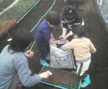 kodomotachinotanemaki1